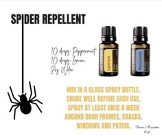 Essential Oil For Spider Repellent, Spider Essential Oil Repellent, Doterra Spider Repellent, Essential Oils For Spiders, Spider Repellent Diy Indoor, Spider Repellent Diy Essential Oils, Diy Poofs, Spider Repellent Diy, Spray For Spiders