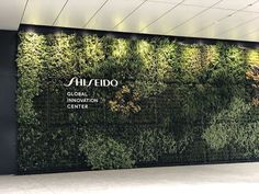 a large green wall with plants growing on it