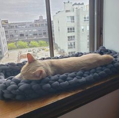 a cat laying on top of a pile of rocks in front of a large window