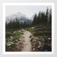 a dirt path leading to the mountains with rocks and grass on both sides, surrounded by pine trees