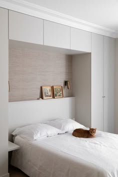 an orange cat laying on top of a white bed in a room with beige walls