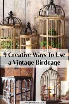 vintage birdcages Colourful Backyard, Birdcage Planter, Diy Bird Cage, Bird Cage Centerpiece, Vintage Birdcage, Small Bird Cage, Hanging Bird Cage