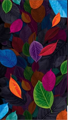 an image of colorful leaves on a black background