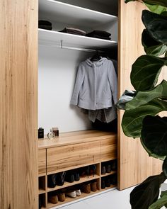 an open closet with shoes and coat hanging on the wall, next to a plant