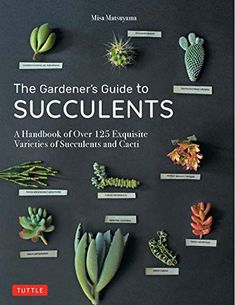 the gardener's guide to succulents