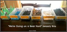 there are many plastic containers on the table with plants in them and words that read, we're going on a bear hunt sensory bins