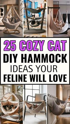 various hammock chairs with the words 25 cozy cat diy hammock ideas your feline will love