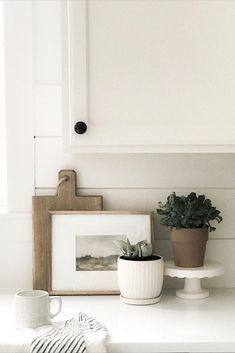 two potted plants sitting on top of a white counter next to a framed photograph