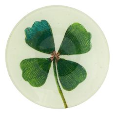 a four leaf clover is shown on a white background, with green leaves in the center