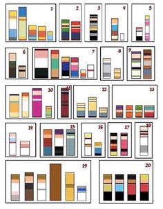 an image of different colors and sizes of doors in the same color scheme for each door