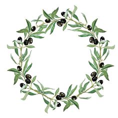 an olive wreath with green leaves and black olives on it, painted in watercolor