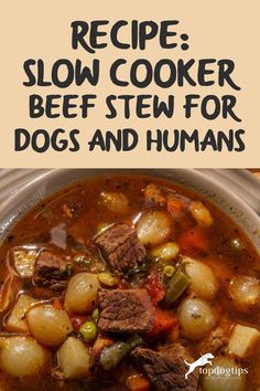 the recipe for slow cooker beef stew for dogs and humans