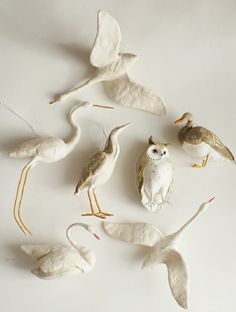 several white birds and one brown bird on a white surface with wings spread out to the side