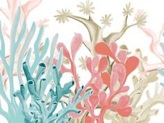 an abstract painting of corals and seaweed on a white background with blue, pink, and orange colors