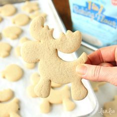 a person holding a cookie shaped like a dog in front of some cut out cookies