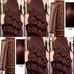 5.68 Hair Color, Igora Royal Chocolate Brown, Dark Light Brown Hair, Brown Cinnamon Hair Color, Chocolate Auburn Hair, Igora Hair Color, Dark Auburn Hair, Colors For 2024, Brown Hair Looks