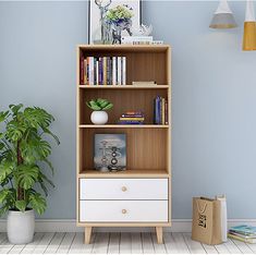 a bookshelf in the corner of a room next to a potted plant