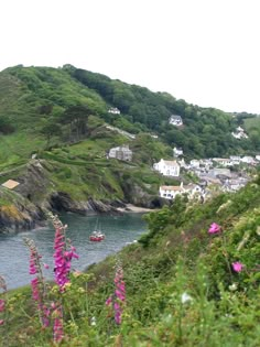 a small village on the side of a hill next to a body of water with purple flowers in front of it