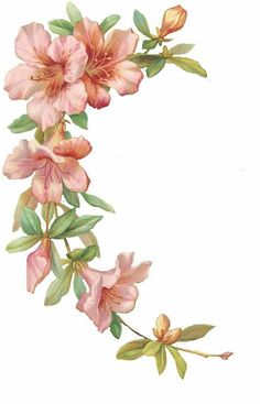 a painting of pink flowers with green leaves