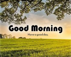 the words good morning have a good day in front of a green field with trees