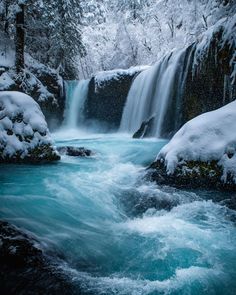 a frozen waterfall in the middle of a forest