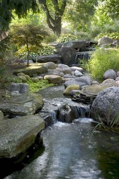 a small stream running through a forest filled with lots of rocks and grass next to trees