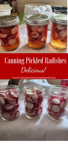 canning pickled radishes in mason jars with text overlay that reads canning pickled radishes delicious