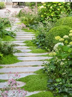 a stone path surrounded by lush green plants and flowers