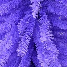 close up view of purple christmas tree branches