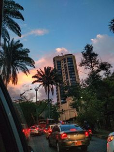 cars driving down the road in front of tall buildings at dusk with palm trees on both sides