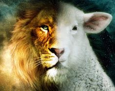 a close up of a white lion's face with stars in the sky behind it