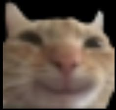 Low quality meme cat smiling funny goofy discord meme memes Low Quality Cat, Low Quality