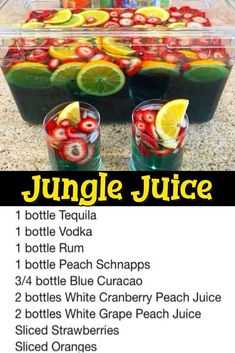 an image of a jungle juice recipe with drinks in the bottom and on the side