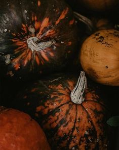 several pumpkins with brown and black spots on them