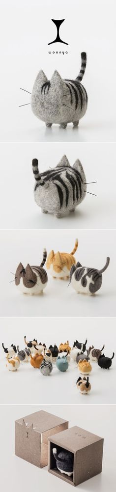 four different images of cats in various positions