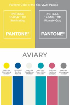 pantone's color chart for the year 2011