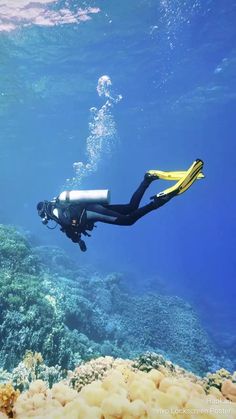 a person swimming in the ocean with scuba gear