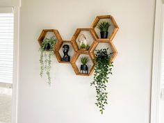 three wooden hexagonal shelves with plants on them against a white wall in a living room