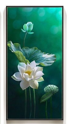 Lotus Flower Images, Lotus Flower Wallpaper, Watercolor Lotus, Poster Color Painting, Lotus Flower Pictures, Lotus Flower Art, Lotus Painting, Boho Art Drawings, Flower Canvas Wall Art