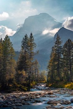 a river running through a forest filled with lots of rocks and trees on the side of a mountain