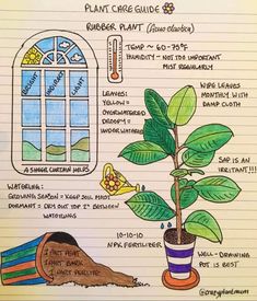 a notebook with some drawings on it and plants in the potted planter next to an open window