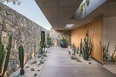 the walkway is lined with cacti and succulents in front of a stone wall