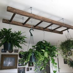 some plants hanging from a wooden beam in a living room with pictures on the wall