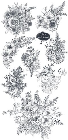 flowers and plants are drawn in black ink on white paper, with the words wild and scroll above them