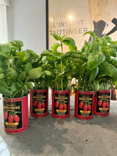 four tins with plants growing out of them on a counter top in front of a sign