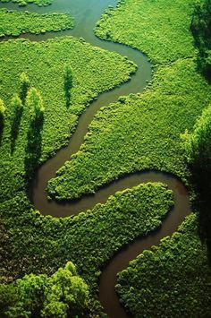 an aerial view of a river surrounded by lush green grass and trees in the distance