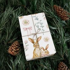 a gift wrapped in wrapping paper with an image of a bunny and rabbit on it