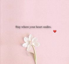 a white flower sitting on top of a pink wall next to a quote that says stay where your heart smiles