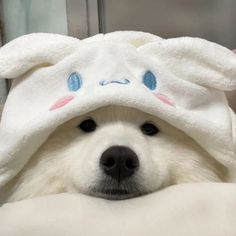 a white dog is wearing a towel with blue eyes and ears on it's head