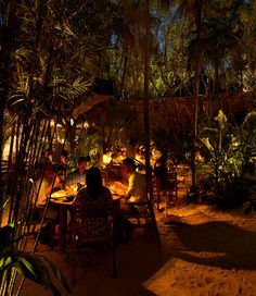 people sitting around a table in the middle of a forest at night with lights on